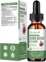 Lever sundhed flydende dråber -Support Lever rense Detox & Reparation med Artichoke Mælk Thistle Silymarin Extract, Mælkebøtte, gurkemeje, Berberine til Renew w / 21 Potent Herb- Nutrients60ml