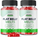 rize labs - Flat Belly Melts Keto ACV Gummies for Advanced Weight Loss with Apple Cider Vinegar, Supplement Helps in Reducing Belly Fat (120 Gummies)