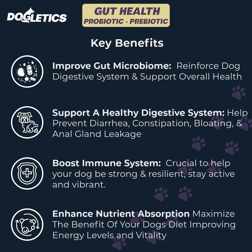 Gut Health Probiotic & Prebiotic - 90ct Support Mave Mikrobiom, Forebyg fordøjelsesproblemer, Reducer Anal Gland spørgsmål, Forbedre immunfunktion og samlet energi