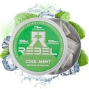 Nootropisk energi Koffein Pouches • 100 mg Koffein • Alpha GPC • Huperzine A & essentielle vitaminer • Sukkerfri • Kokosolie Fiber Technology • Cool Mint Flavor • 15 Pouches Per Can (pakke med 1)