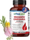 FineLand Prosopis Cineraria 40: 1 Extract - 28,000 mg Max Strength - Full Spectrum - Understøtter Cholesterol, Circulation & Arterial Health - Non-GMO, Gluten Free - 60 Veganske kapsler