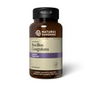 Nature 's Sunshine Nutribiome Bacillus Coagulans Probiotika, 90 Capsules Name 124; 3 Millioner CFU af Bacillus Coagulans Probiotic Hjælper forsvar mod fordøjelsesforstyrrelser og lejlighedsvis Diarré, Gas og Bloating