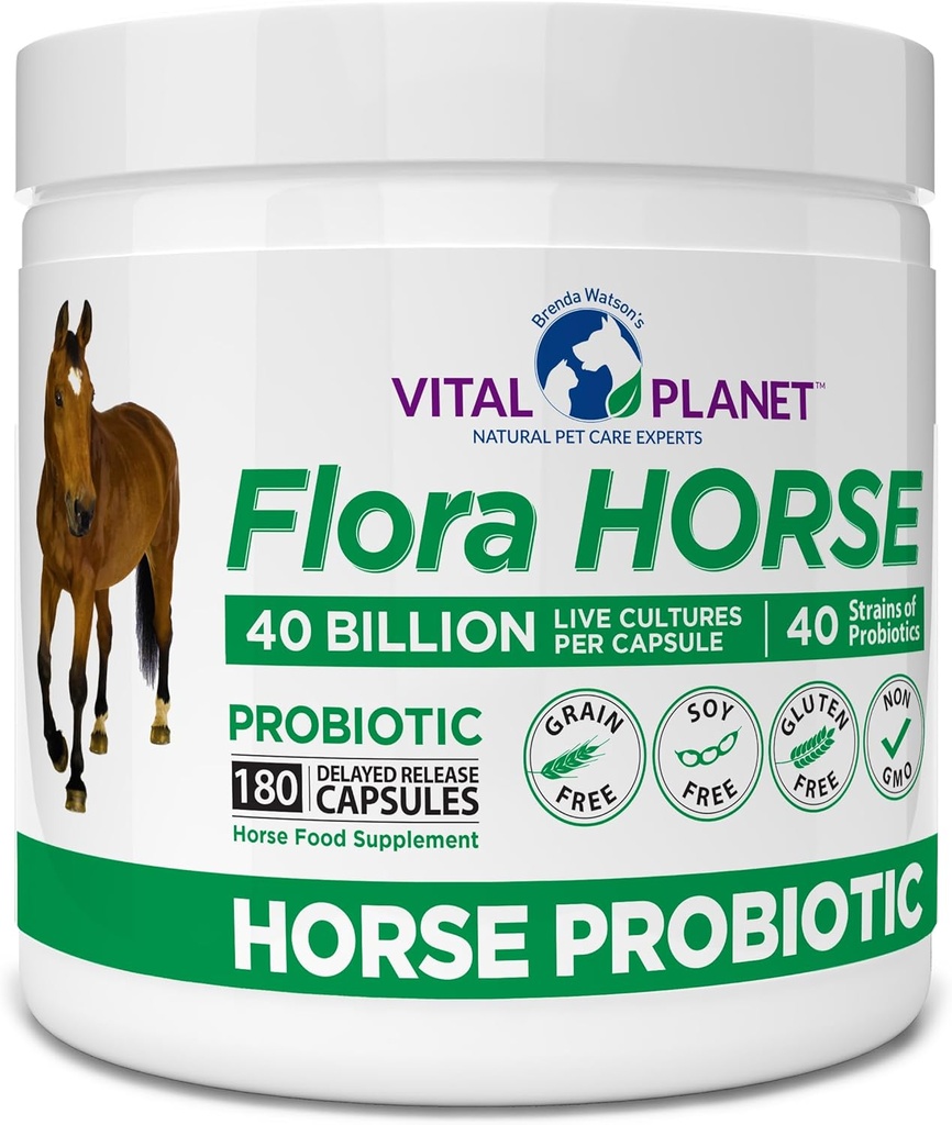 Vital Planet - Flora Horse Probiotic, High Potence Equine Probiotika med Prebiotika, 40 Millioner Live CFU fra multiple Strains, fordøjelses- og immunstøtte, 180 forsinkede frigivelseskapsler (180 dage)