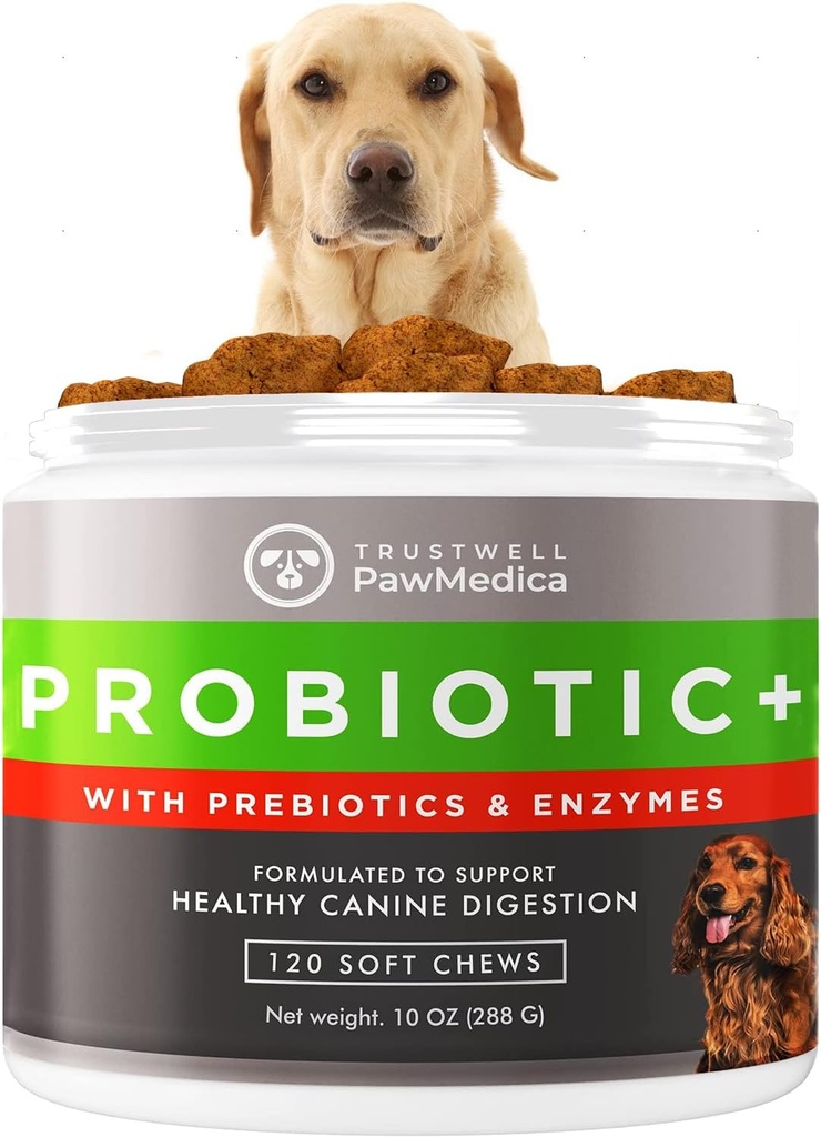 PawMedica hund probiotika og fordøjelsesenzymer, Probiotika til hunde lavet i USA, Pet Probiotic Chews til hunde, Prebiotika & Probiotic hund fordøjelsesstøtte, Probiotiske Treatings - 120 Hund Probiotiske Chews