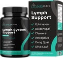 Herbal Lymph System Support Supplement - Lymphatic Support Complex with Echinacea Goldenseal Astragalus & Hydroxytyrosol for Lymphatic Drainage & Immune Support - Vegan Non-GMO Gluten Free (2 Month)
