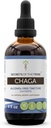 Secrets of the Tribe Chaga Tincture Alcohol- Free Extract, Wildcrafted Chaga (Inonotus obliquus) Tørret Hel Mushroom (4 FL OZ)