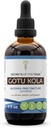 Secrets of the Tribe Gotu Kola Tincture Alcohol- Free Liquid Extract, Gotu Kola (Centella Asiatica) Tørret urt (4 Fl Oz)