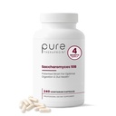 Pure Therapro Rx Saccharomyces Boulardii Probiotics 10 Billion CFU - Made in USA | No Fillers, Patented Strain: Lynside CNCM I-3799 Probiotics for Men and Women 240 Capsules
