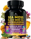 Sea Moss Capsules - 17-in-1 Blend med Black Seed Oil Ashwagandha Bladderwrack Burdock Root gurkemeje D3 K2 C for daglig wellness - Multimineral supplement til mænd og kvinder - 120 Greve