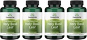 Swanson Holy Basil Leaf (Tulsi) - Stress Support and Well- Being Supplement - (120 kapsler, 800mg Per Serving) (4 Pack)
