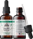 Buchu Tincture, Organic Buchu Extract (Agathosma Betulina) Tørret Leaf Health Supplement, Non- GMO i Cold- Pressed Organic Vegetabilsk Glycerin 2 oz, 670 mg
