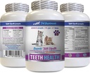 Bad breath cat Treats - CAT Tænder Sundhed - Avanceret mund sundhed kompleks - immunboost - biotin til katte - 1 flaske (60 tabletter)