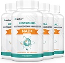 Orgabay Liposomal NAD + Supplement 500 mg, Høj Absorption, Boost NAD + med TMG 250 mg, Faktisk NAD Plus mere effektiv end Nicotinamid Riboside, Support Cellular Energy, Sund Aging
