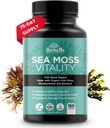 Økologisk Irish Sea Moss med Bladderwrack, Burdock Root & Black Pepper Extract, 150 kapsler, Thyroid Support, Natural Jod Kilde, fremmer immunsystemet, Cell Food, Alkalisk supplement