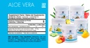 Yes You Can! Detox Plus Kit (Meal Replacement Dulce de Leche, Aloe Vera Pineapple) - Complete Meal Replacement Powder, High Energy Shake Booster, Aloe Vera Detox Supplement, Health Transformation