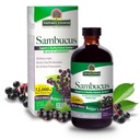 Nature 's Svar Sambucus Elder Berry Extract Syrup 8 Ounce (3 Pack)