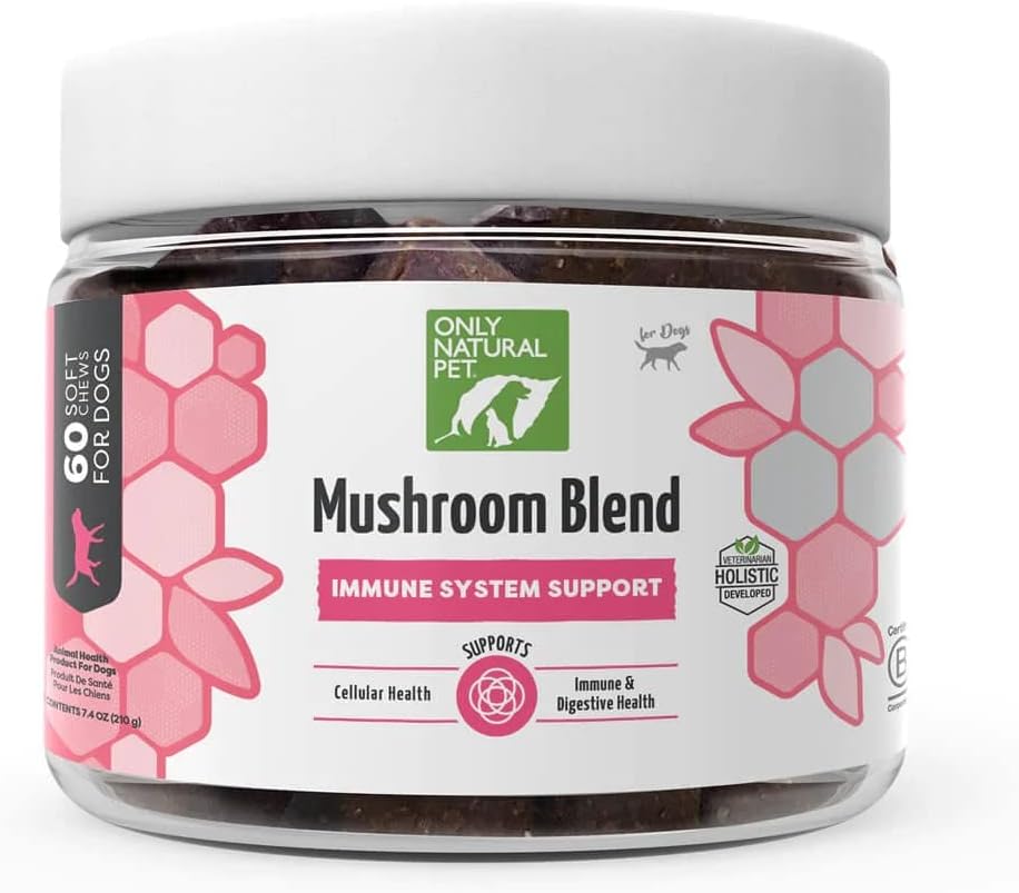 Kun Natural Pet Mushroom Blend immunsystem Support Supplement til hunde - Boost sund cellulose, fordøjelsesbesvær, og lever funktion - Multivitamin Beta- Glucan & Antioxidant - Bacon Flavor 60 Soft Chews
