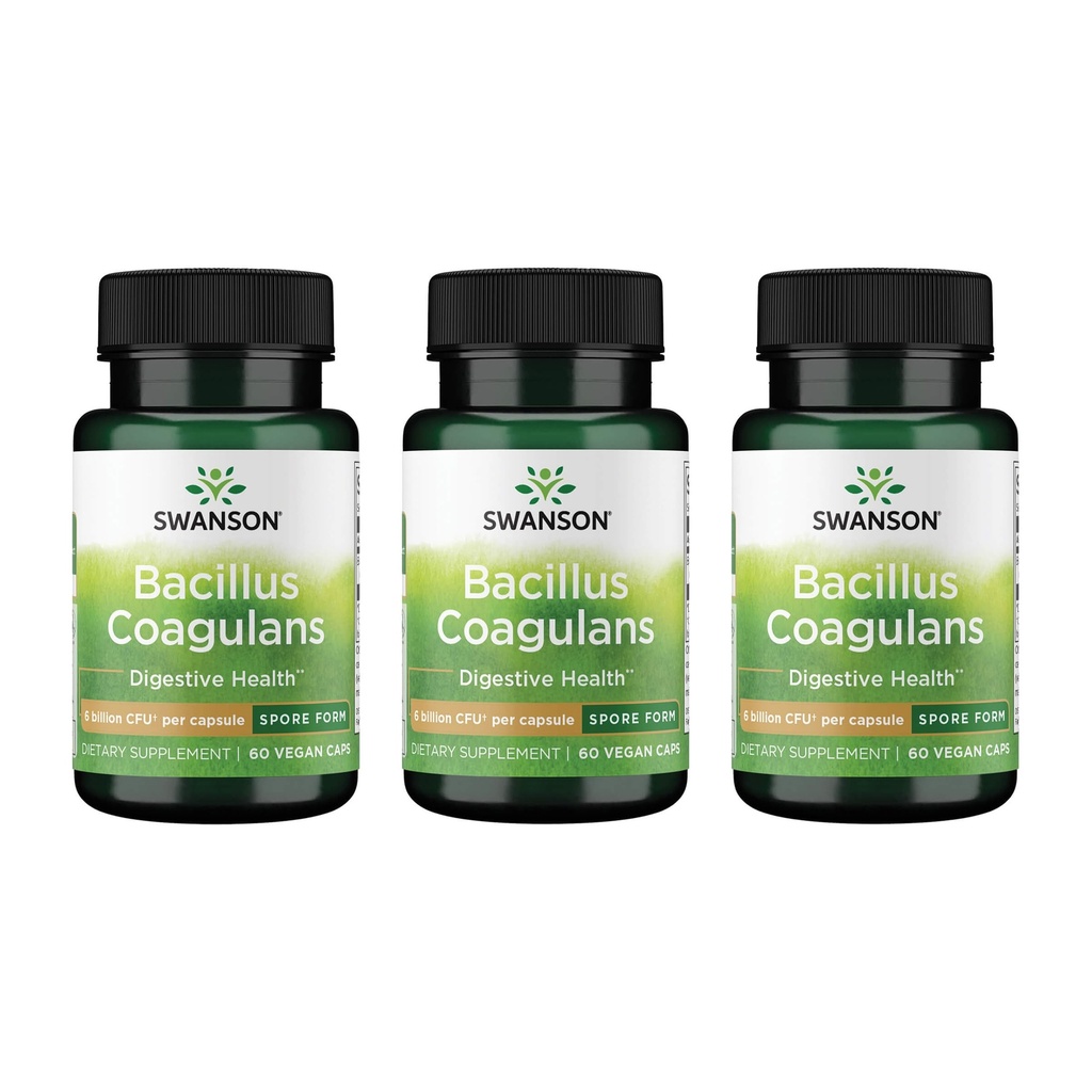 Swanson Bacillus Coagulans - Natural Probiotic Supplement Support Diguestive Health w / 6 Billion CFU - Maj Support GI & Samlet Gut Health - (60 Veggie Capsules) 3 Pack