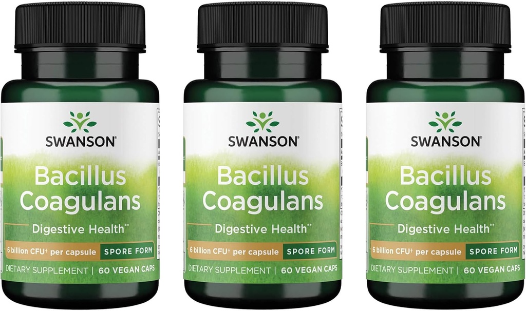 Swanson Bacillus Coagulans - Natural Probiotic Supplement Support Diguestive Health w / 6 Billion CFU - Maj Support GI & Samlet Gut Health - (60 Veggie Capsules) 3 Pack