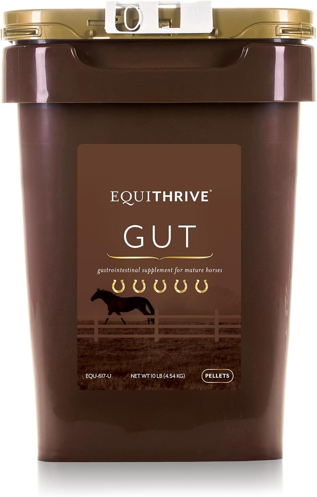 Equitrive Horse Gut Pellets med Probiotika, Psyllium Husk Pulver, Natriumbicarbonat og Omega 3 Fedtsyrer, fordøjelsestilskud for heste, 10 lbs