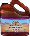 Lily af ørkenen Konserveringsfri Aloe Vera 1 pige