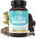Organic Irish Sea Moss Kapsler - Sea Moss og Bladderwrack Kapsler med Burdock Root for sund fordøjelse, immunforsvar sundhed og energi