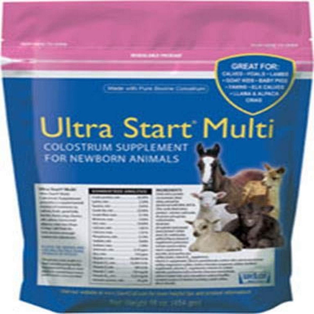 Colostrum supplement til hest