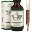 Dobbelt Wood Kosttilskud Mullein Leaf Dryps til Lungs, 2 FL OZ (60 Servering), Understøtter Lung & Respiratory Health (bedre Absorbed Than Kapsler)