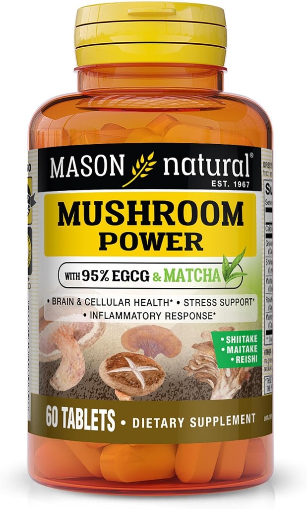 MASON NATURAL Mushroom Power med 95% EGCG og Matcha, Plant- baseret formel med shiitake, Maitake, Reishi, 60 tabletter