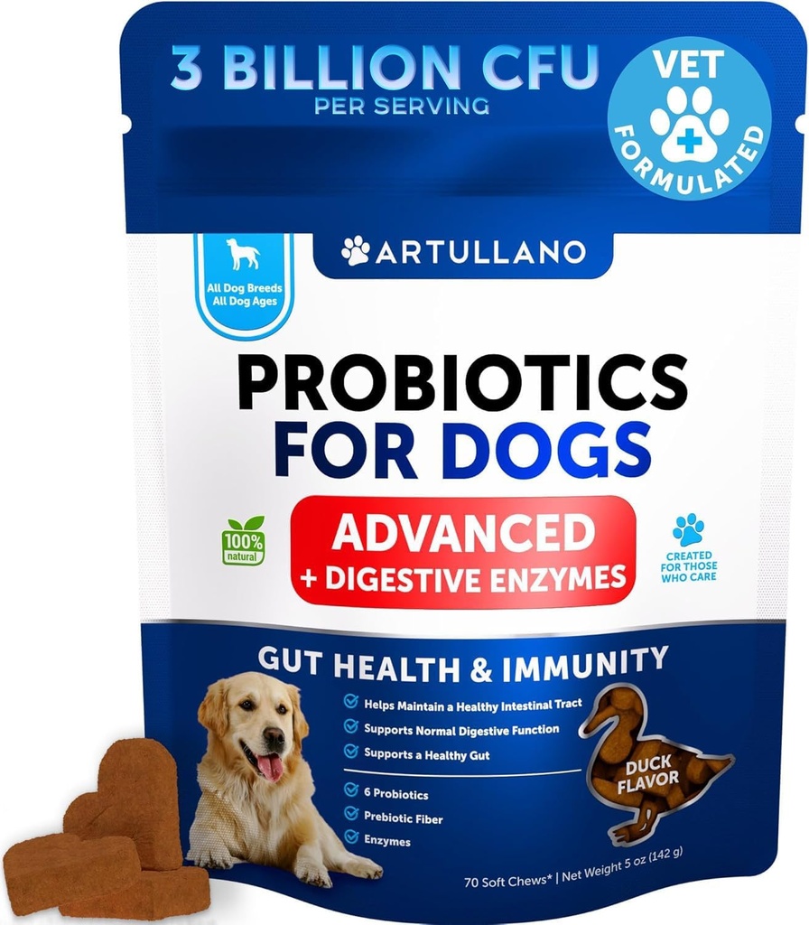 Probiotika til hunde - Support Gut Health, Itchy Skin, Allergier, Immunitet, Gær Balance - Hundeprobiotika og fordøjelsesenzymer med Prebiotika - Reducer Diarré, Gas - 70 Probiotiske Tyre til hunde