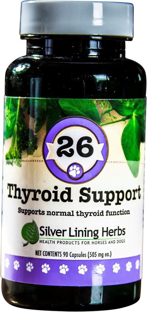 Sølv Lining urter Thyroid Support til hunde - Natural Herbal supplement til at hjælpe med at bevare sund thyroid funktion, vejrtrækning & vægt - 90 kapsler