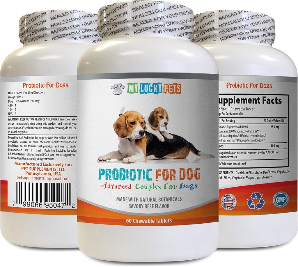 probiotika til hunde tyggende - hund PROBIOTIK - dårlig ånde og passerer gas løsning - oral sundhed - fos Formel - 1 flaske (60 Treats)