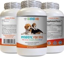 probiotika til hunde tyggende - hund PROBIOTIK - dårlig ånde og passerer gas løsning - oral sundhed - fos Formel - 1 flaske (60 Treats)