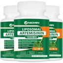 Liposomal Artemisinin Supplement 1000mg, Sweet Wormwood Extract med 200 mg Quercetin Phytosome, Maksimal absorption for antioxidant 180 kapsler