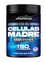VITAMIAN Celulas Madres 180 kapsler - Stem Cell Blue Green Algae - Non GMO -Gluten Free AFA -Celula Madre Supplement - Lions Mane Beta Glucan understøtter sund aldring & fremmer immunspirulina.