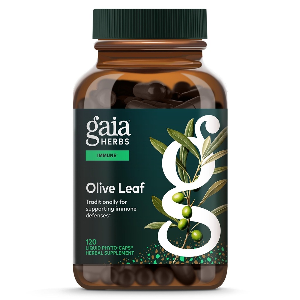 Gaia urter Olive Leaf - Traditionel immunforsvar - immunsystem supplement med Olive Leaf Extract & Oleuropein * - 120 Vegansk flydende Phyto- Caps (60- Day Supply)