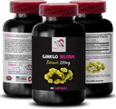 Daglig antioxidant supplement - GINKGO BILOBA Extract - Naturlig antioxidant formel, Ginkgo biloba pulver, Botanisk wellness support, Urteekstrakt fordele, Ginkgo biloba dosering 1 Flaske 60 Kapsler
