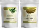 HERBAL HILLS Neem Leaf Powder and Gurmar Powder Gymnama Sylvestre Pakning med 2 Combo