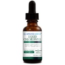 Godkendt Science Liquid Chlorophyll - 2 fl. Oz. - 60 mg ChloroAbsorb - Mulberry Leaf Extract - Energize The Body - fordøjelses- og immunstøtte - Natural Deodorant and Detox - Vegan - Made in The USA