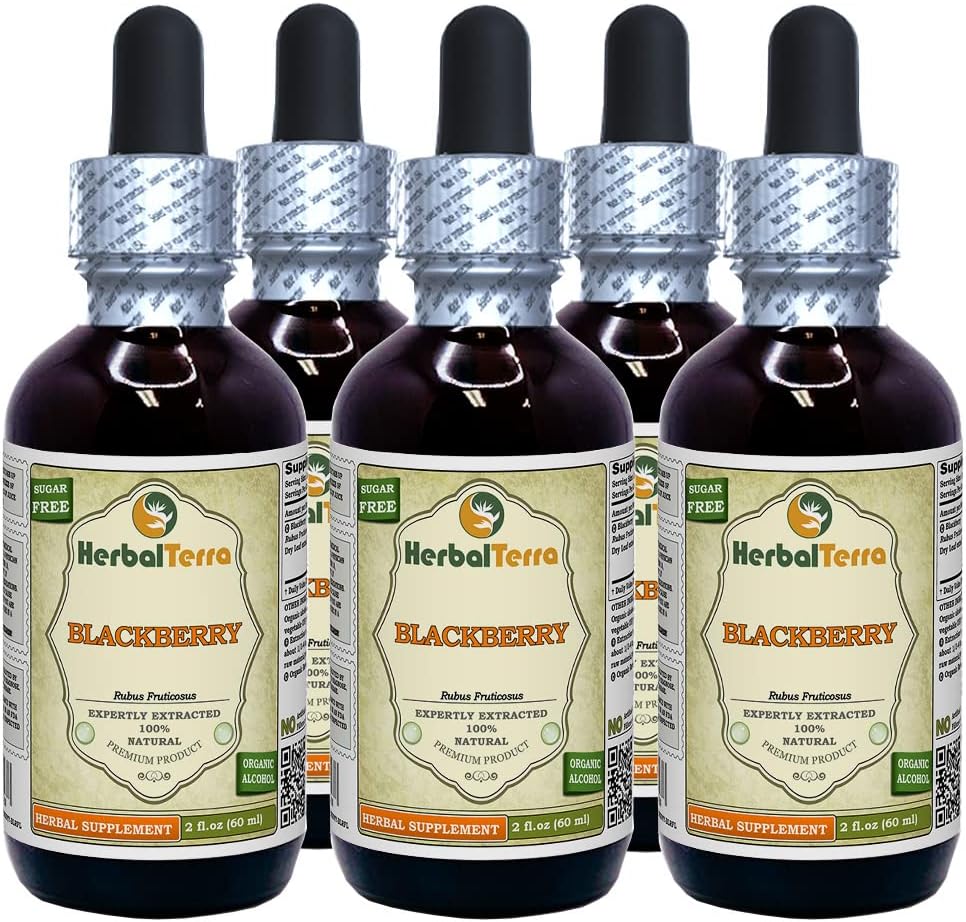 BlackBerry (Rubus fruticosus) Tinktur, Økologisk Tørrede blade flydende ekstrakt (Brand Name: HerbalTerra, Stolt Lavet i USA) 5x2 fl.oz (5x60 ml)