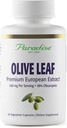 Paradise urter Olive Leaf Uddrag fra spanske andalusiske oliventræer, Super Potent, Ultra Pure, Non- GMO, Vegan, Gluten Free, 60 vegetariske kapsler