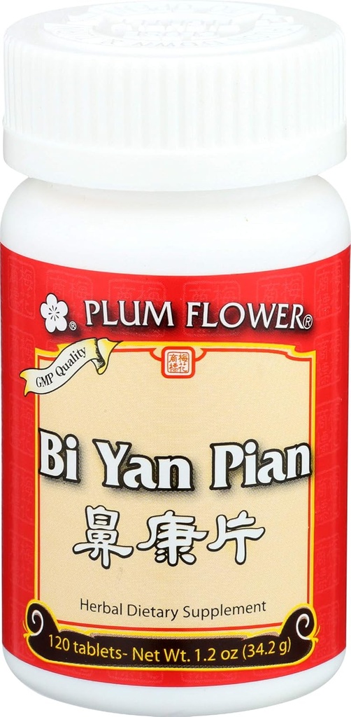 Plumflower CHINESE TEA Bi Yan Pian Tb, 120 CT