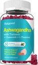 Ashwagandha Gummies, Støtte til Immunitet, Afslapning, Ashwagandha Kosttilskud til mænd og kvinder, Natural Blueberry Flavor, 60 Greve