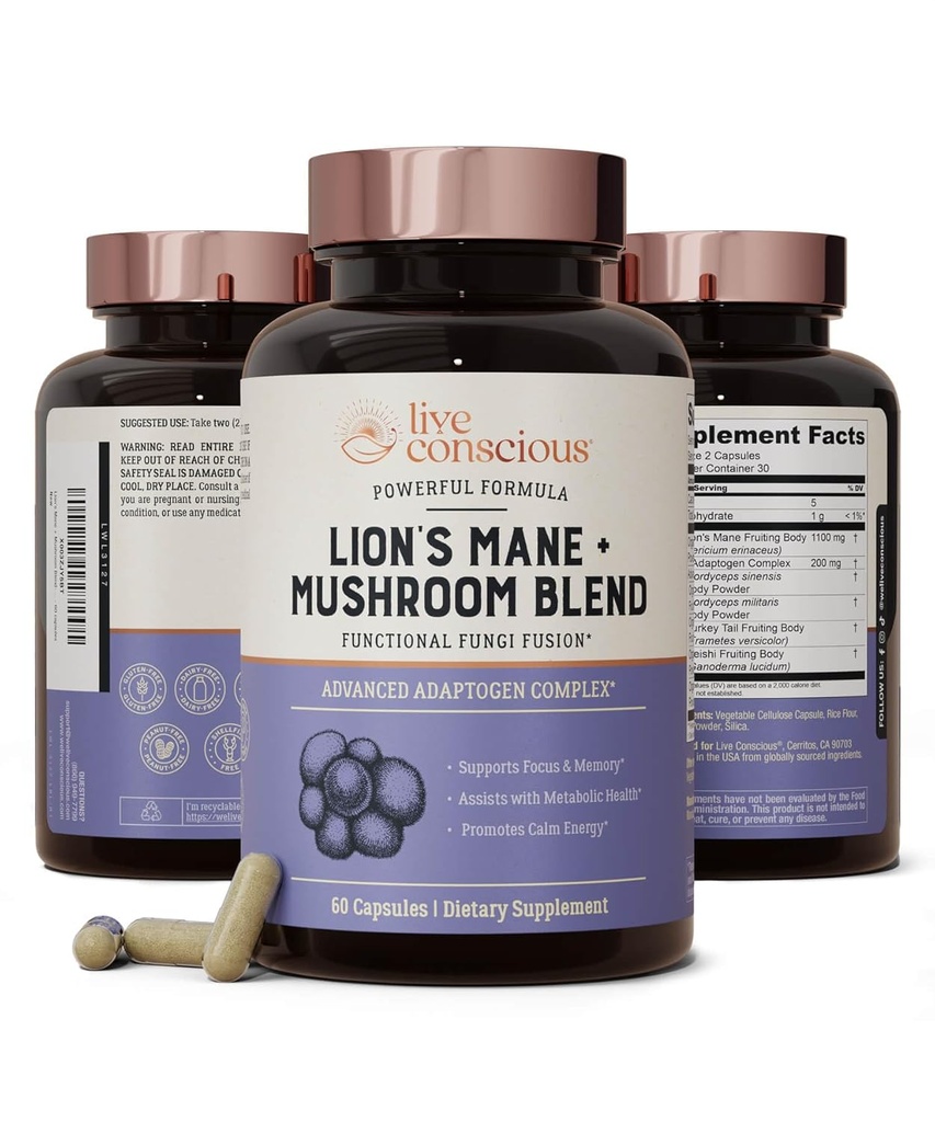 Live Bevidstelige Lions Mane Mushroom supplement kapsler til hjernemasse m / Lions Mane, Cordyceps, Reishi, og Tyrkiet Tail Mushrooms - Kognitiv hukommelse supplement til hjerne