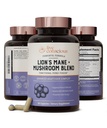 Live Bevidstelige Lions Mane Mushroom supplement kapsler til hjernemasse m / Lions Mane, Cordyceps, Reishi, og Tyrkiet Tail Mushrooms - Kognitiv hukommelse supplement til hjerne