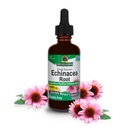Naturens svar Echinacea Extract 124; Understøtter et sundt immunsystem