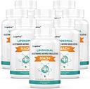 Orgabay Liposomal NAD + Supplement 500 mg, Høj Absorption, Boost NAD + med TMG 250 mg, Faktisk NAD Plus mere effektiv end Nicotinamid Riboside, Support Cellular Energy, Sund Aging