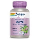 SOLARAY Olive 250mg - Olive Leaf Extract Kapsler med 22% Oleuropein, Plus Lemon Balm - Polyphenoler tillæg for wellness support - Vegan, 60- dag garanti, Lab Verified - 120 Servere, 120 VegCaps