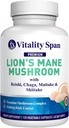 Lions Mane Support Capsules - Svampe Uddrag: Chaga, Maitake, Reishi & Shiitake Mushrooms