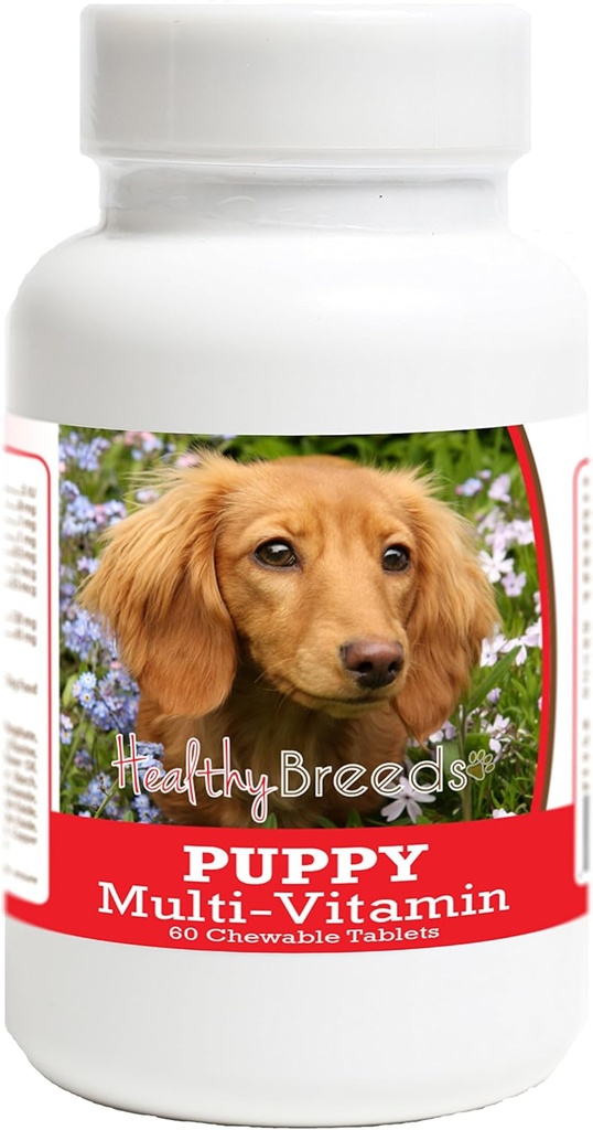 Sunde racer Dachshund Puppy Dog Multivitamin Tablet 60 Tæl